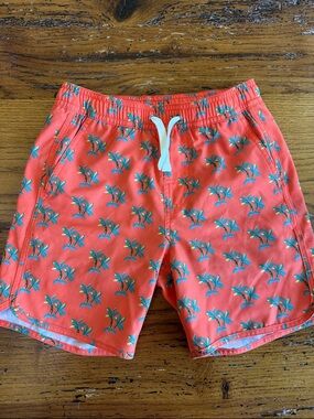 Fair Harbor Anchor Boys Swim Shorts